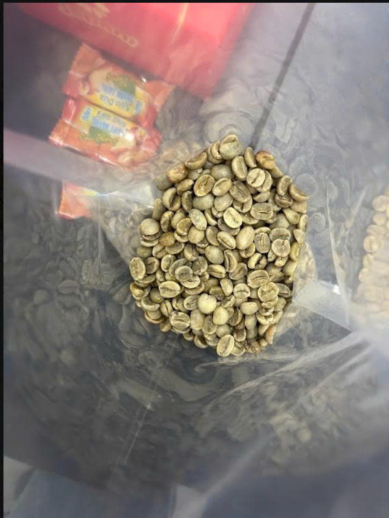 Green Arabica - Image 3