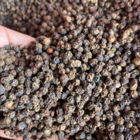 Pepper 500g/l MC