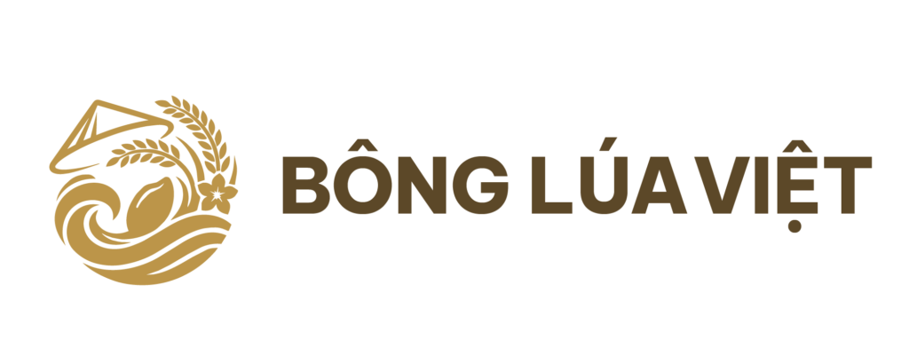Bông Lúa Việt