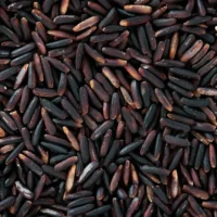Black Glutinous Rice