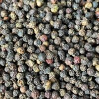 Black Pepper 580 MC