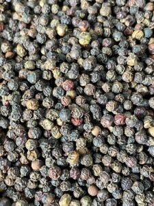 Black Pepper 580 MC
