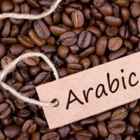 ARABICA