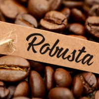 ROBUSTA