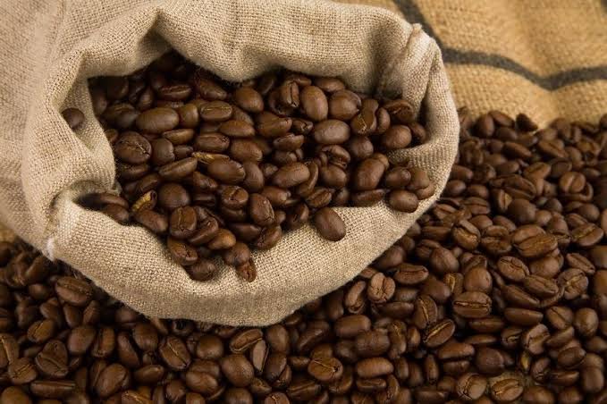Roasted Robusta - Ảnh 5